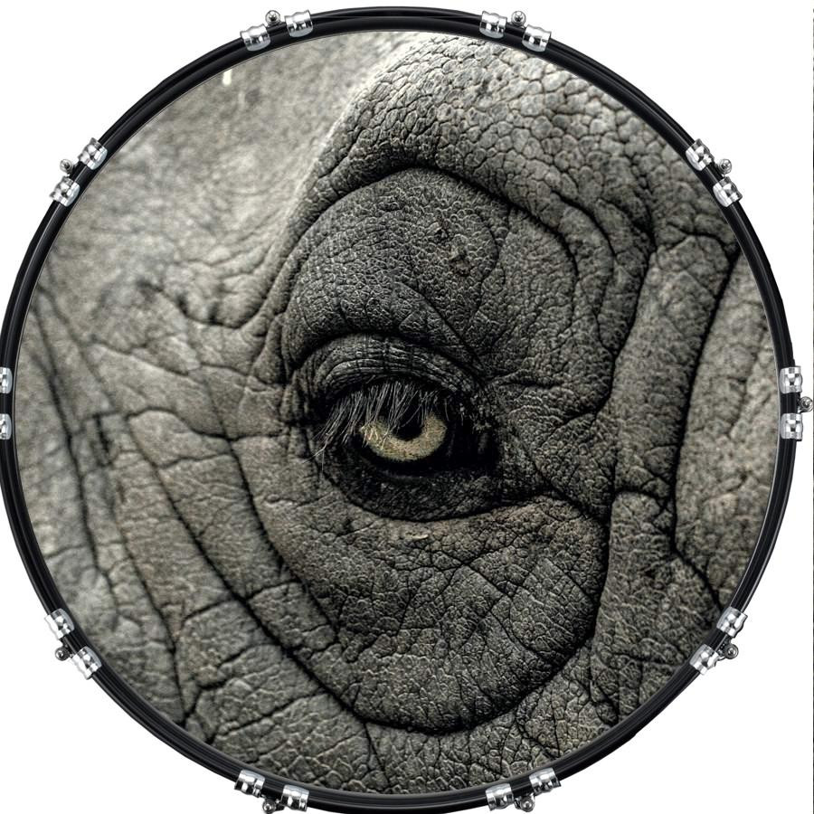 20" Custom Bass Kick Drum Front Head Graphical Eye Elephant