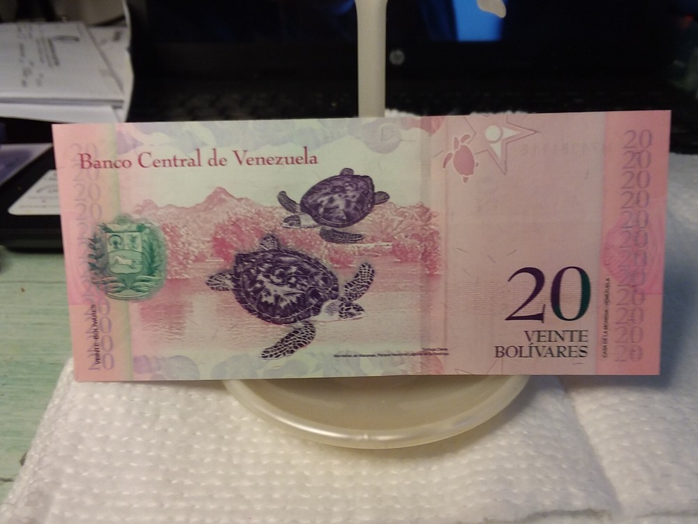 Venezuela - 2008 20 Bolivares - Sea Turtle