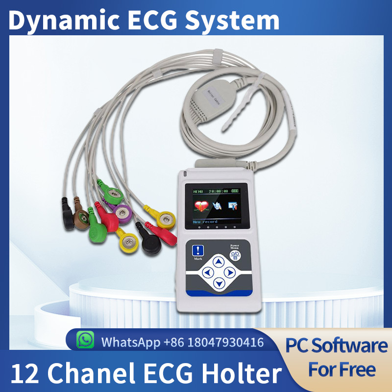 12 Channel 12 Lead Dynamic ECG Holter Systems 24 Hours Recorder/Analyzer