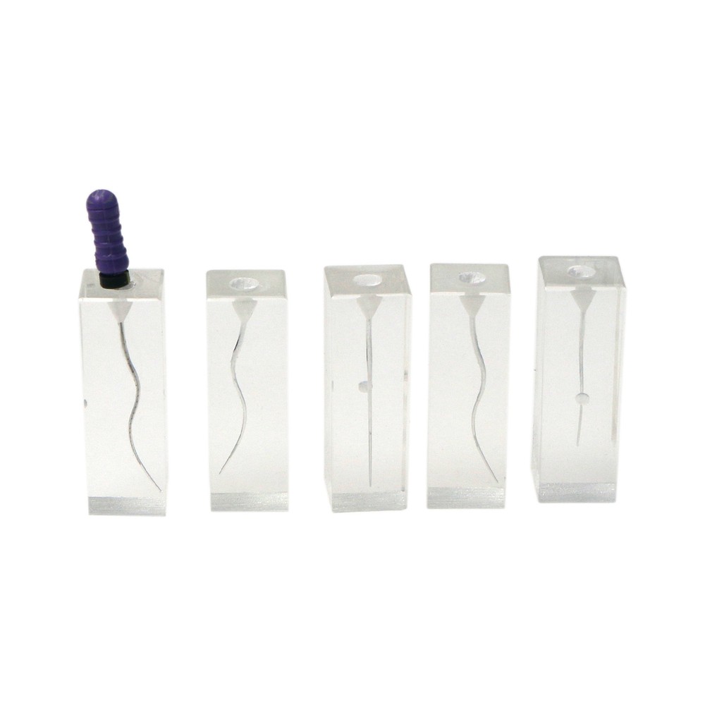 10PCS Dental Endodontic Root Canal Practice Models Endo Training Block Clear