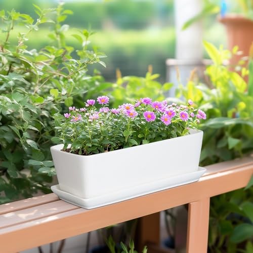 Rectangular Planter - 10 Inch Ceramic Pots for Plants with Drainage Hole and