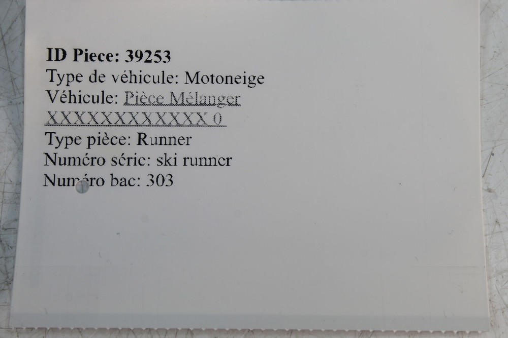 Ski Runner
