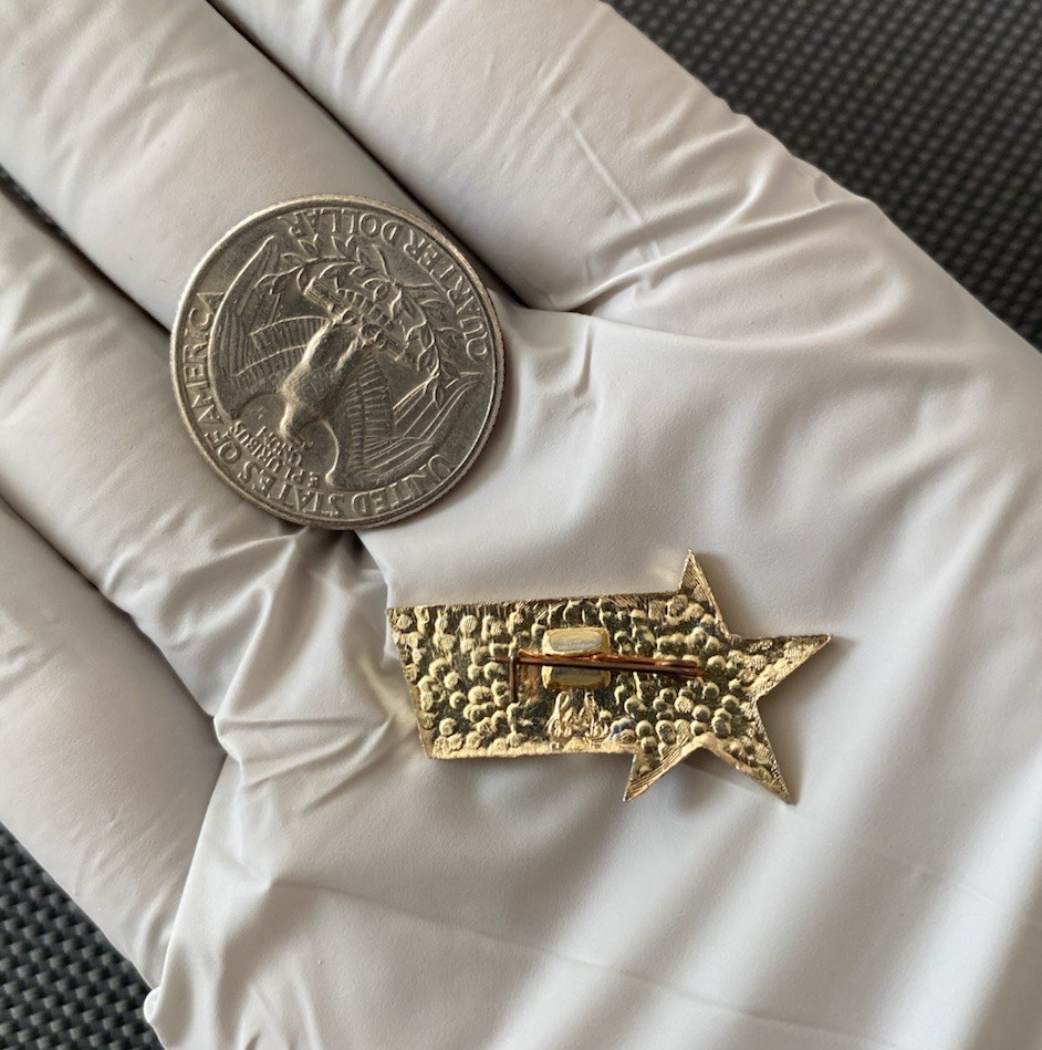 CCCP Armed Forces USSR Soviet Pin Badge