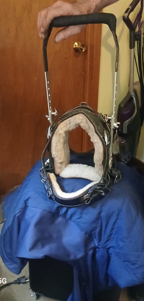 Bold Lead Designs Leather Guide Dog Harness Rigid Handle Adjustable Padded