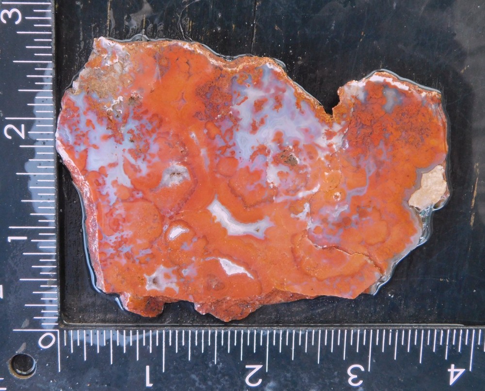 Red Agate lapidary cabbing slab from Durango Mexico 4mm thick