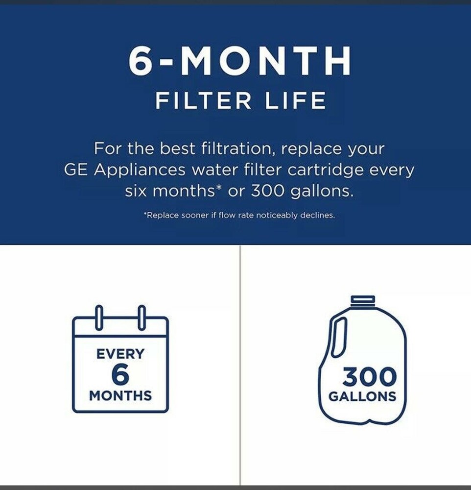 (3 Pack) Genuine GE RPWFE RPWF Replacement Refrigerator Water Filter Sealed