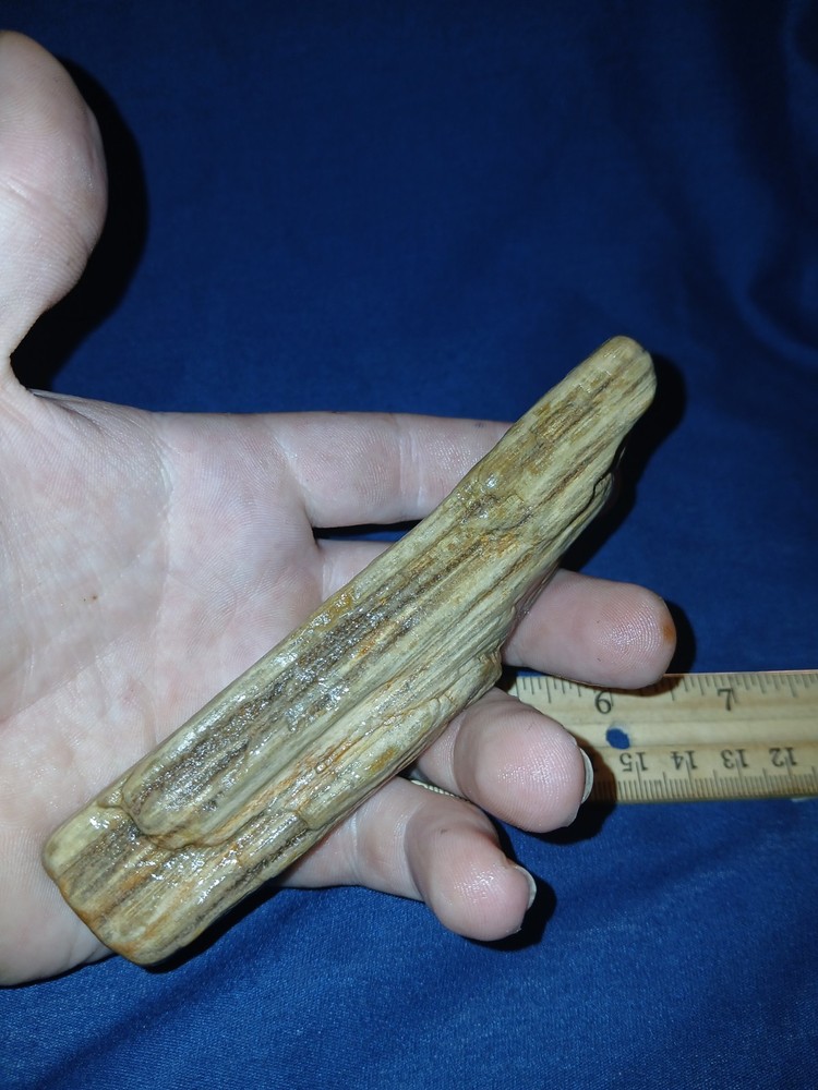 4.5 oz Petrified Wood