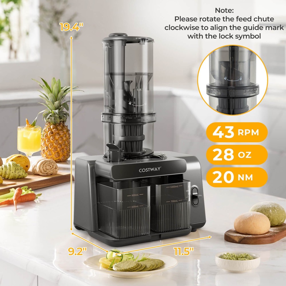 Cold Press Juicer Machine Professional Slow Masticating Juicer w/ Reverse Button