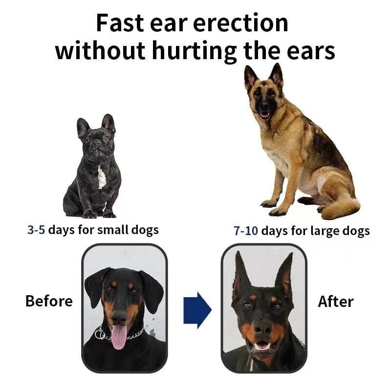 Dog Ear Stand Sticker Up Support Tool, Dog Ear Fixed Correction Vertical Hold...