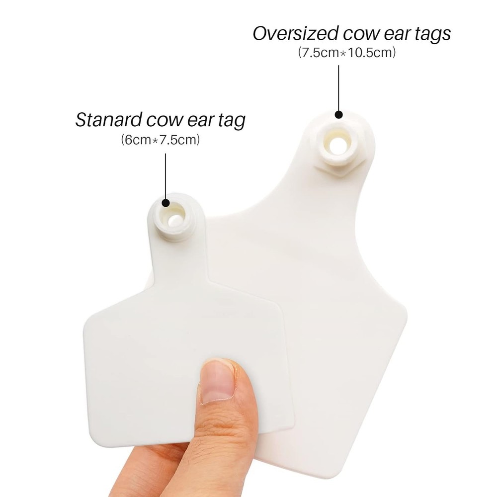 LIUCOGXI 100 Pcs White Blank Cattle Ear Tags Large Size oversize,