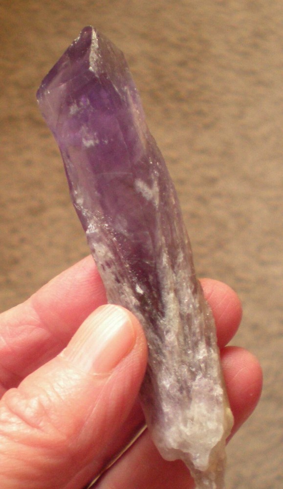 Amethyst Torch, Bahia Brazil xt382