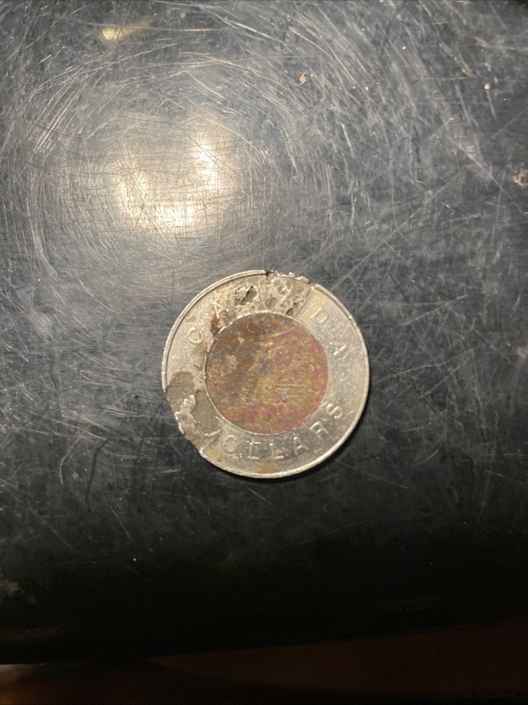 1996 Canada 2$ Coin,queen Elizabeth 2 & Polar Bear. Many Errors
