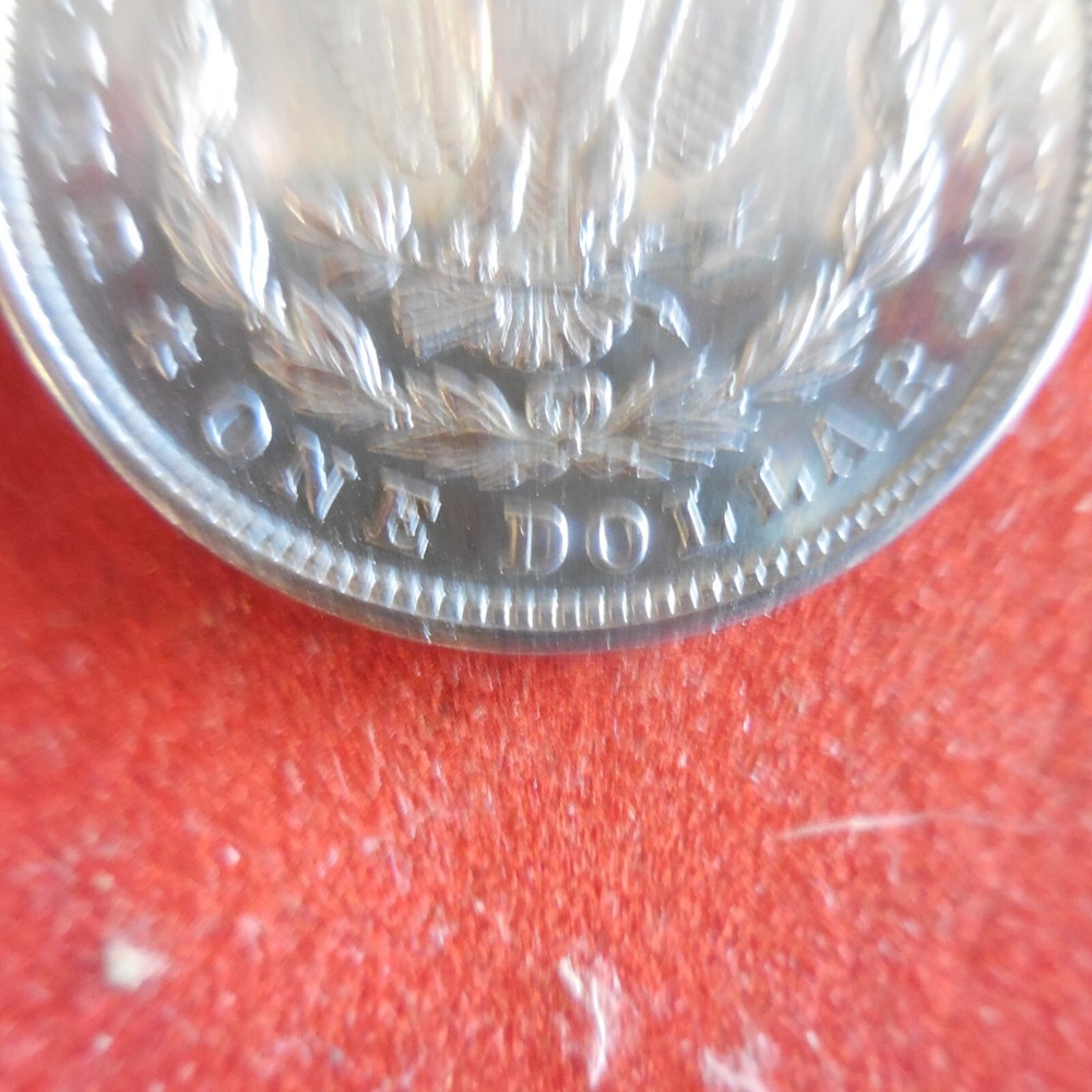 1921 Morgan Silver Dollar - Toning