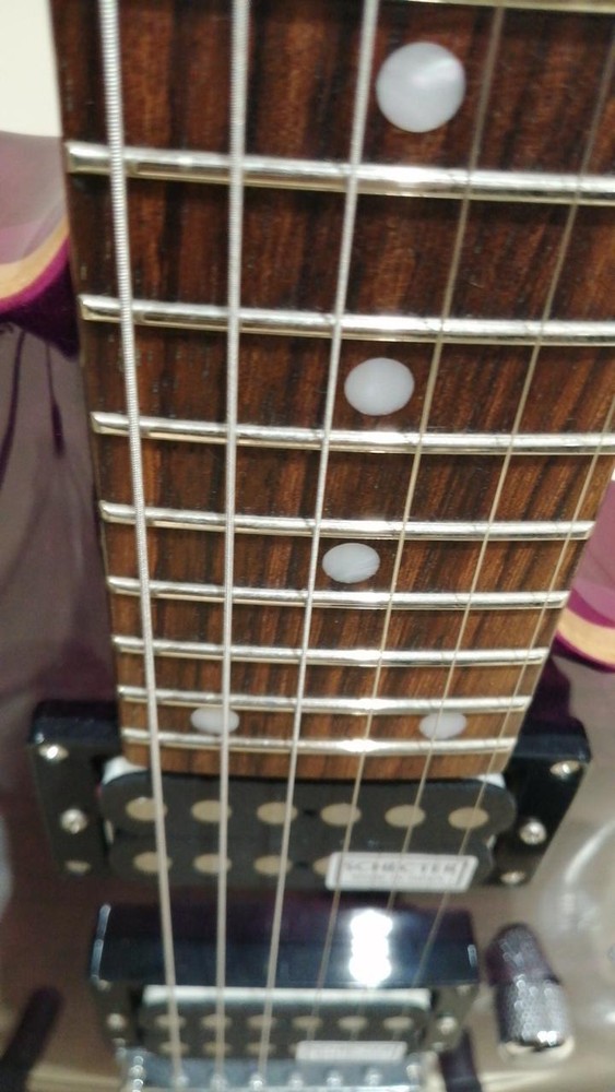 SCHECTER RJ-1-24-TOM Electric Guitar-01