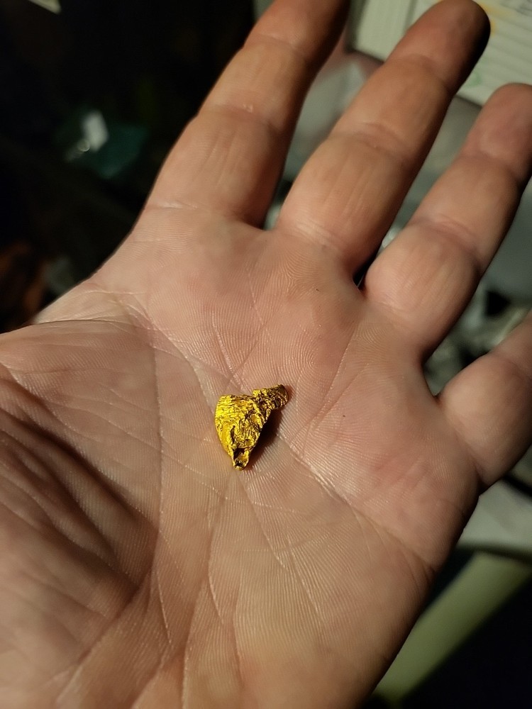 Gold Nugget