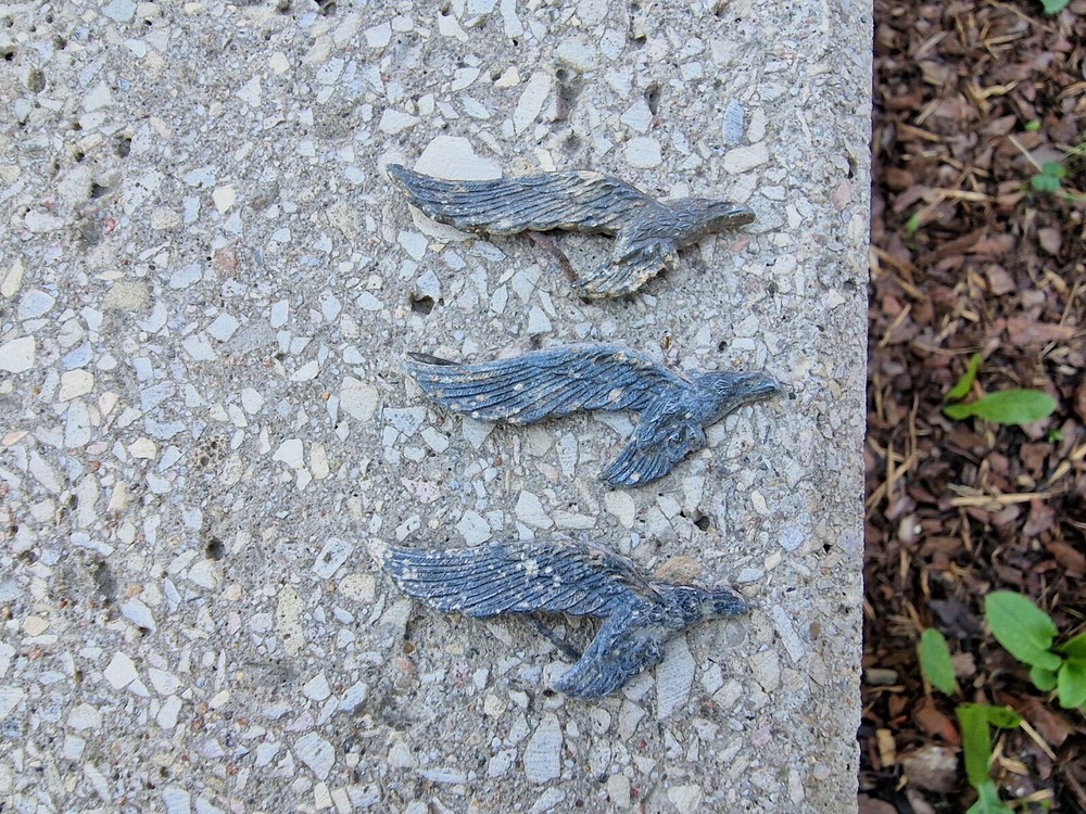 WW2 Original German Badges Front Item Relic.