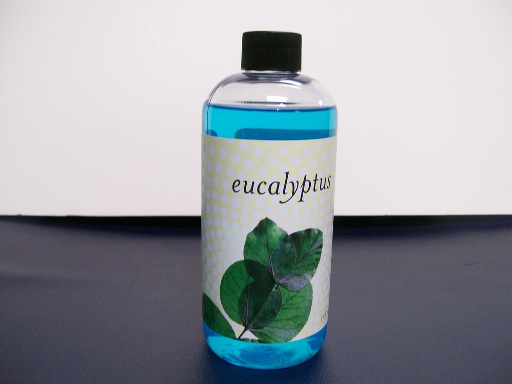 Rainbow Rainmate Eucalyptus  LARGE 16 oz bottle
