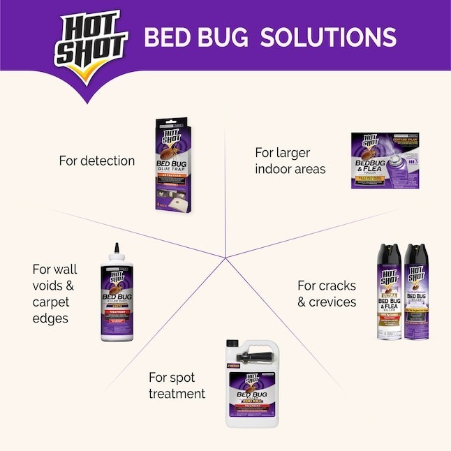 Hot Shot Bed Bug Killer Spray, Kills Bed Bugs and Bug Eggs Indoors, 1 Gallon