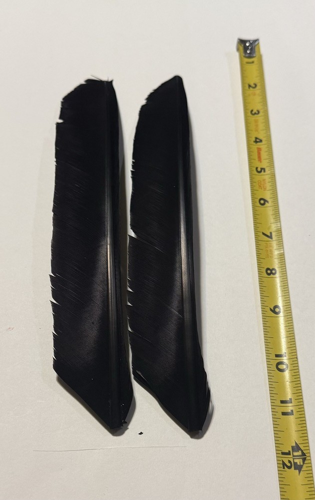 Black￼￼ ￼Turkey Biot Quills Fly Tying Grade￼￼