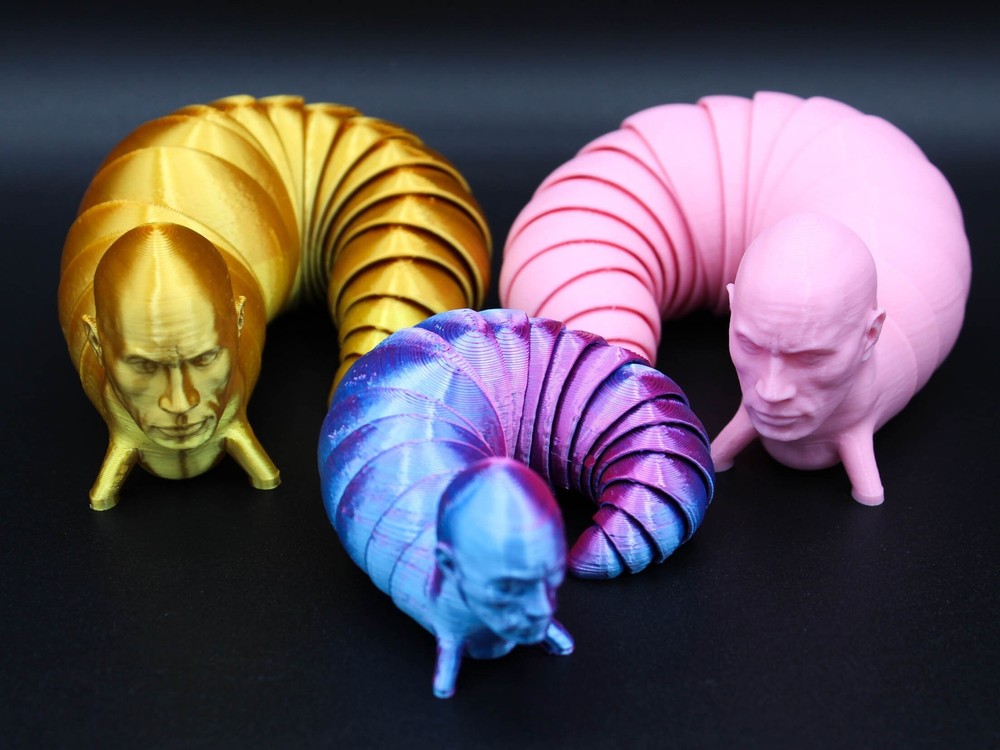 The Rock Fidget Slug