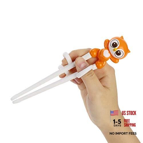 Chopsticks, Training Chopsticks, Learning, Beginner, Brain Training, Owl