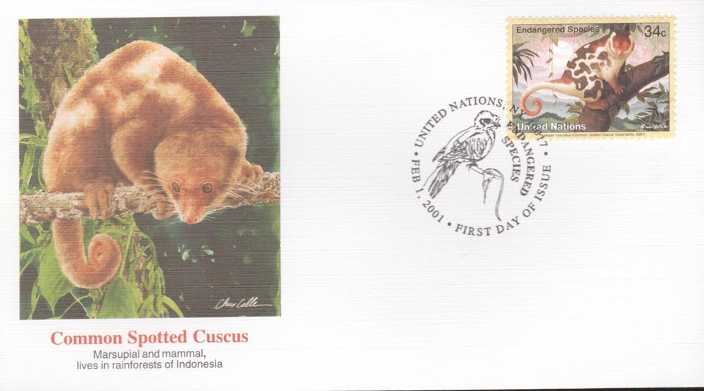 UN Issued Endangered Species = Wild Animals = Common Spotted Cuscus