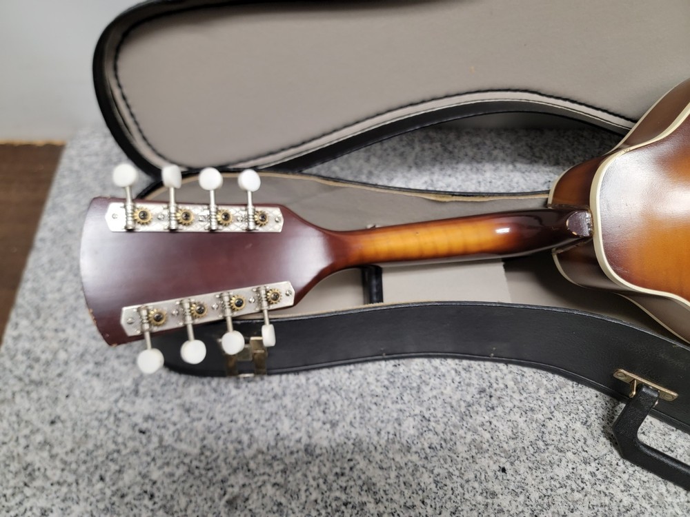 Vintage Kay Mandolin 8-String(Missing One) N7?