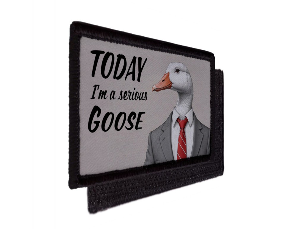 Today I'm a Serious Goose Patch Meme Funny Morale Hook [sub]