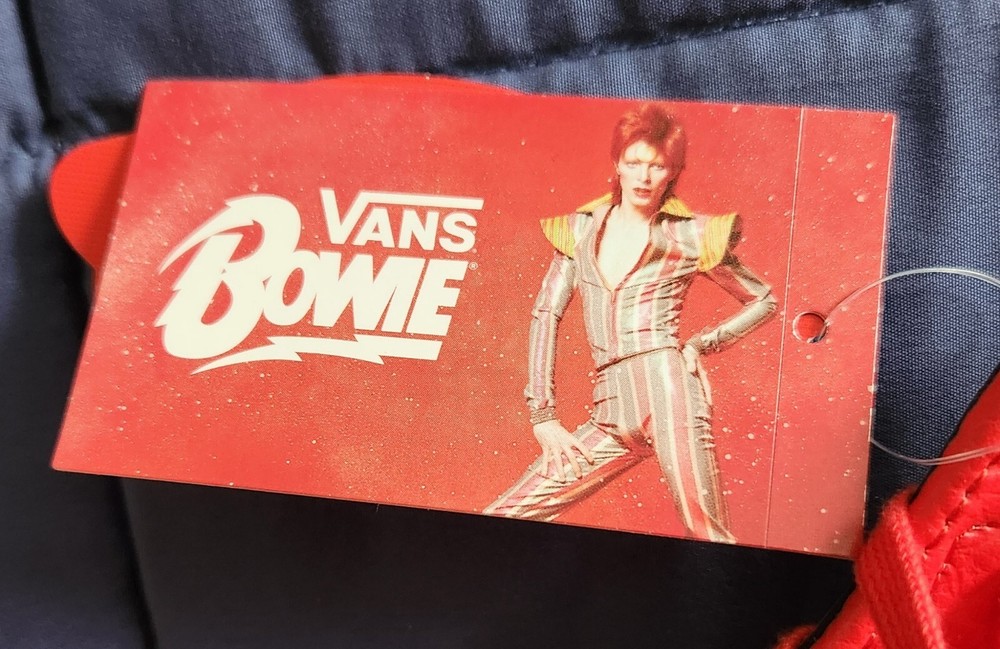 Vans sk8 hi David Bowie Ziggy