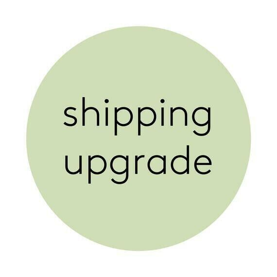 SHIPPING UPGRADE TO 3 DAY PRIORITY