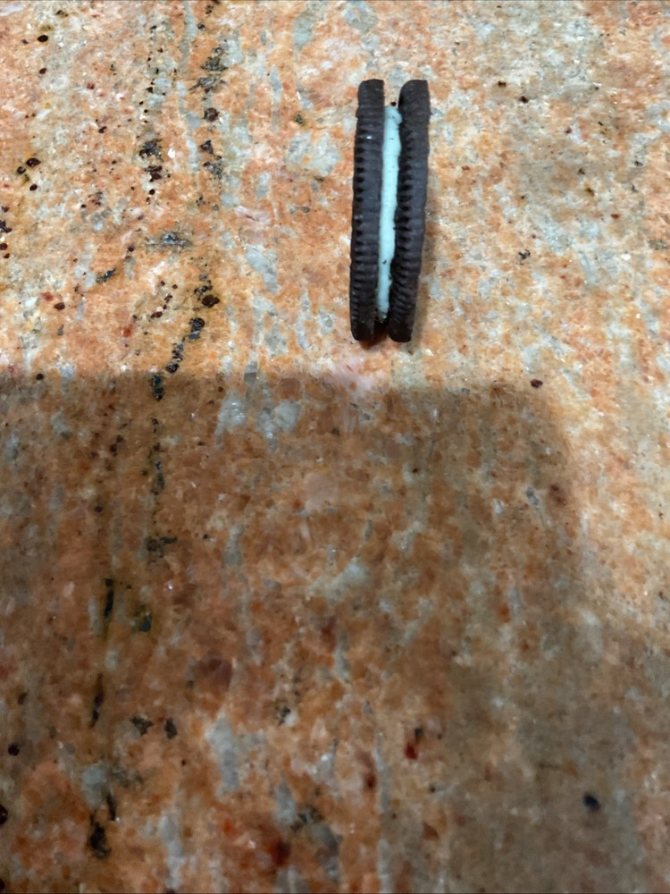 RARE INVERTED UPSIDE DOWN OREO MANUFACTURING ERROR! TOP SIDE BACKWARDS