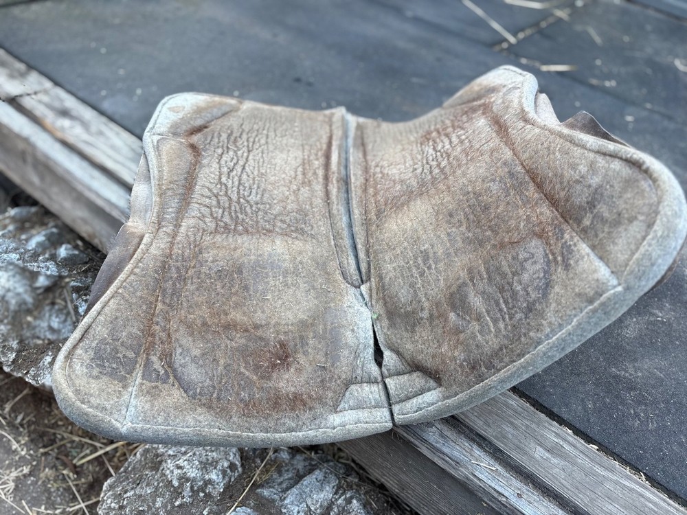Best ever horse pad