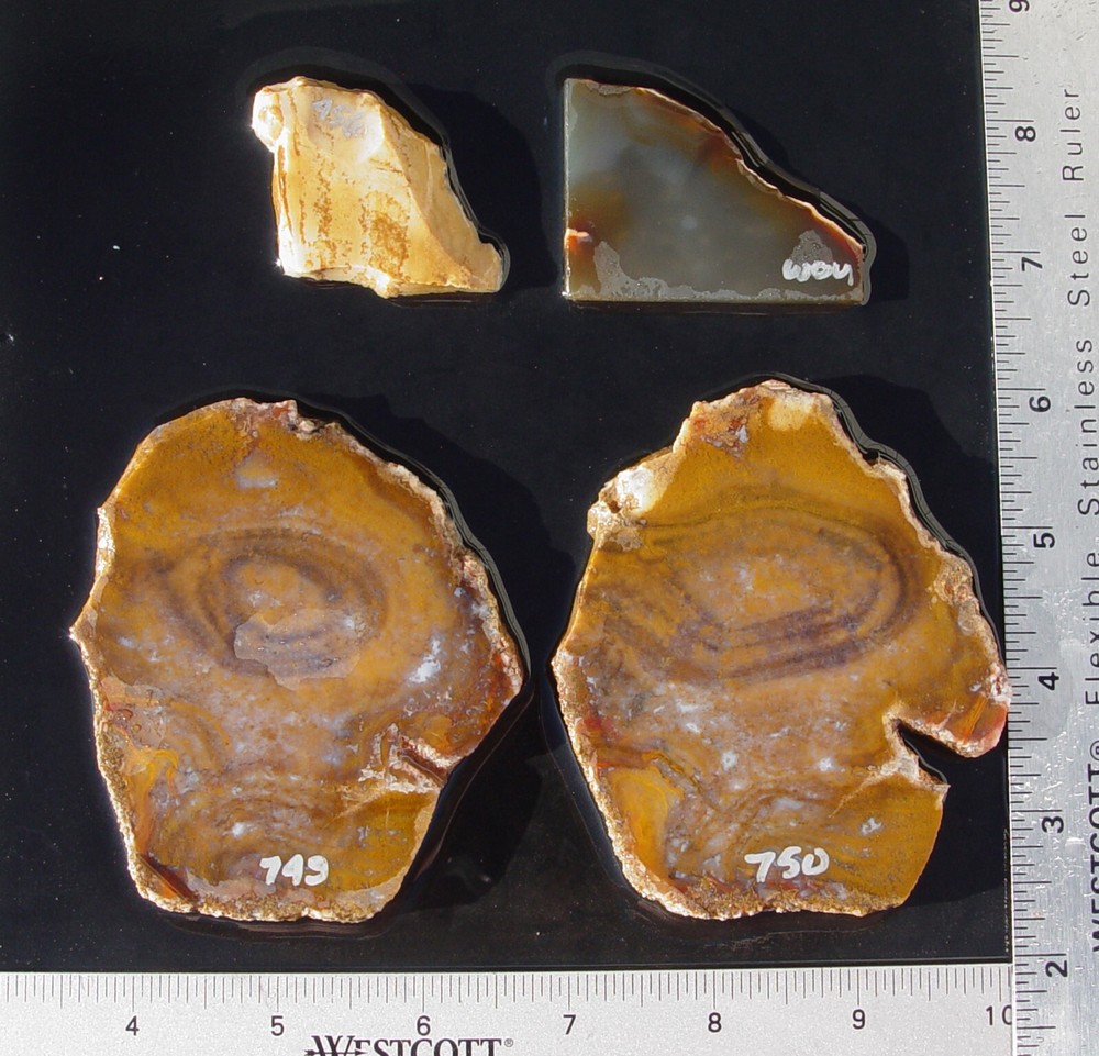 Lapidary Slabs  agate jasper    Lot 5