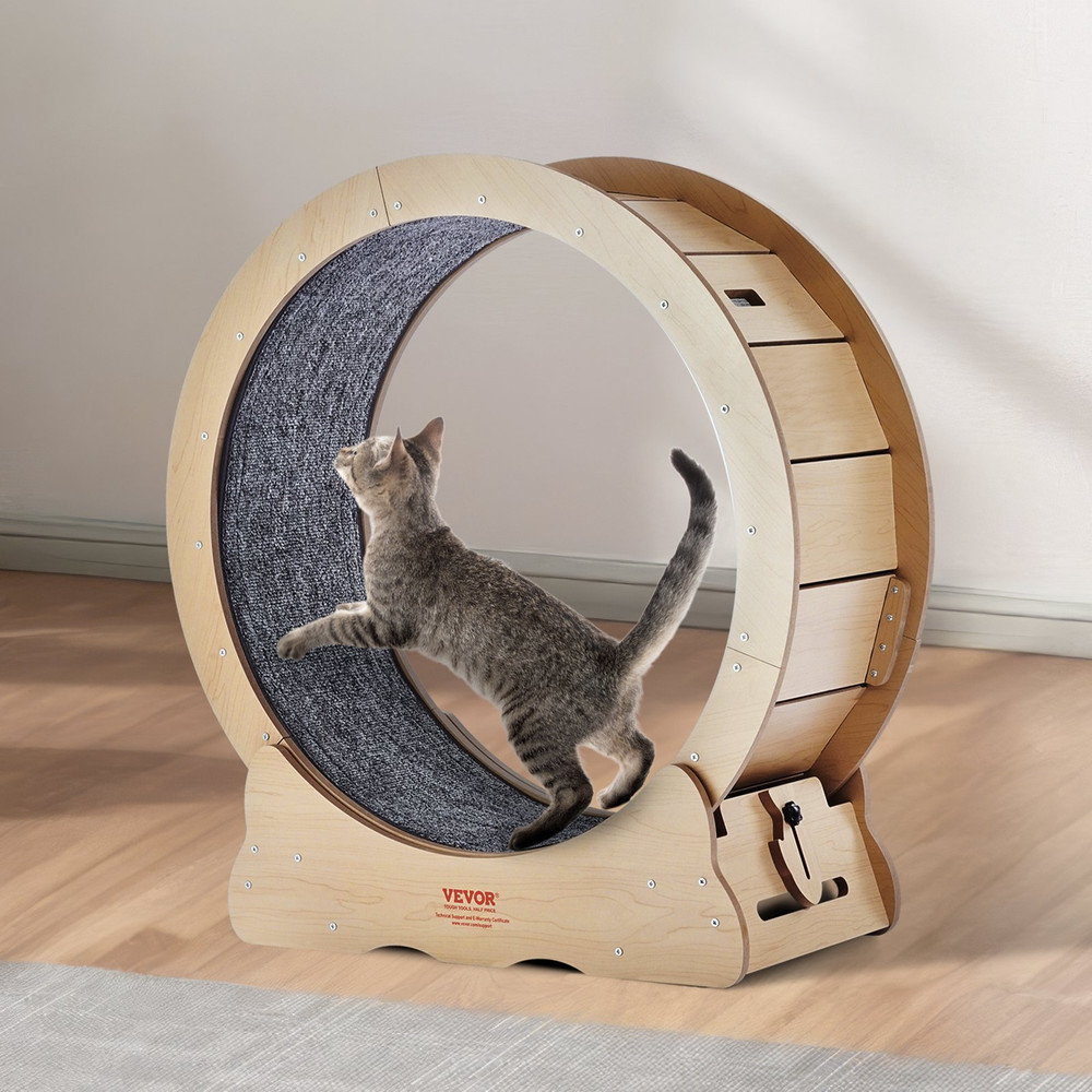 Cat Exercise Wheel, Suitable for Most Cats