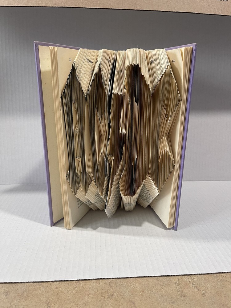 AC DC Book Folded Art