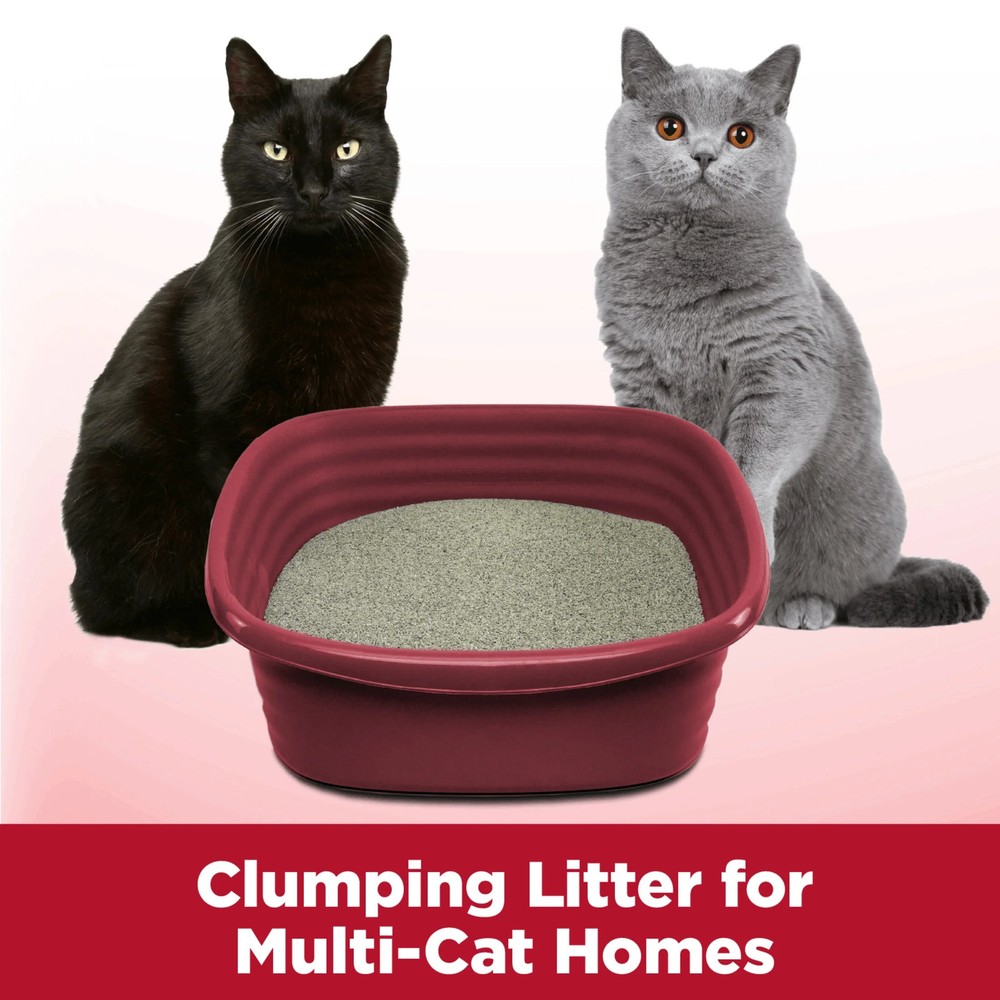 Multi Cat Clumping Litter Odor Control