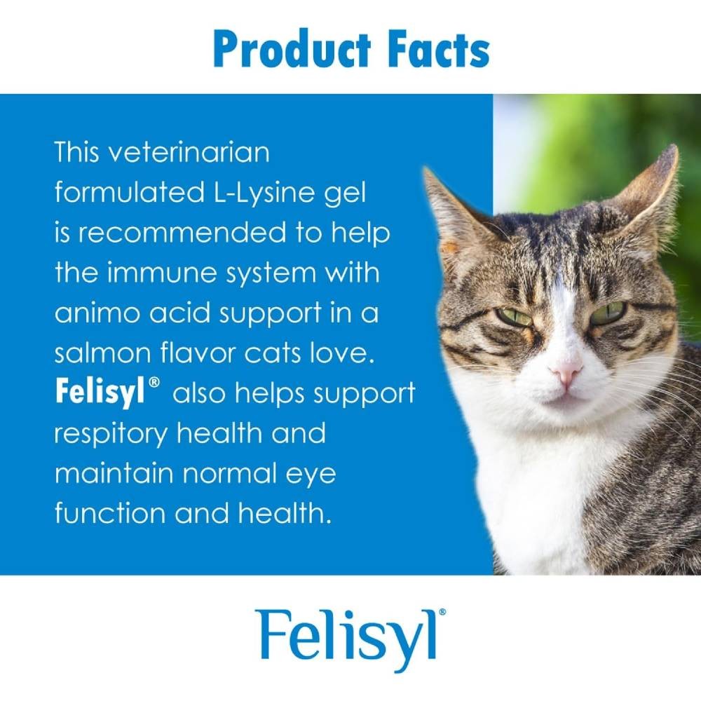 Felisyl L-Lysine for Cats Immune System Support (60 Soft Chews)