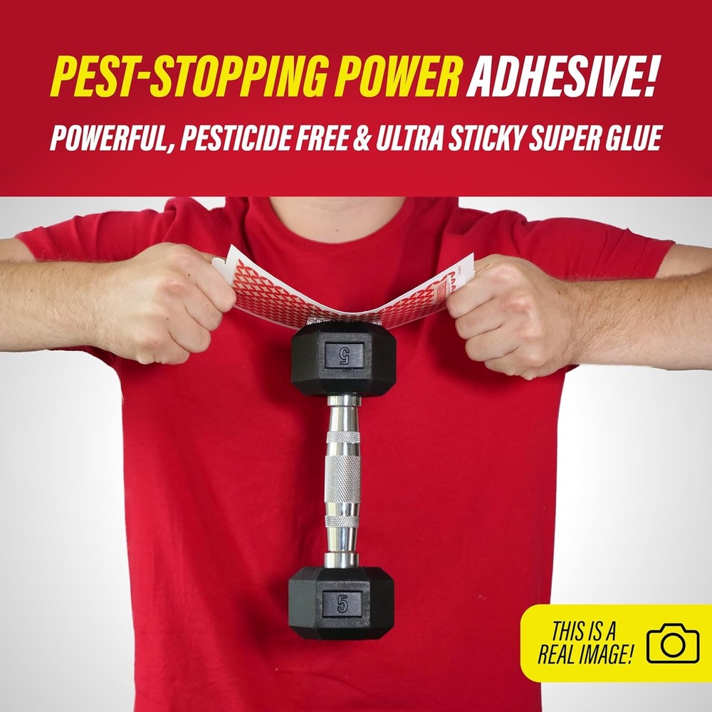 Catchmaster Pro Series Multi-Catch Mouse Trap Includes Replaceable Glue Board