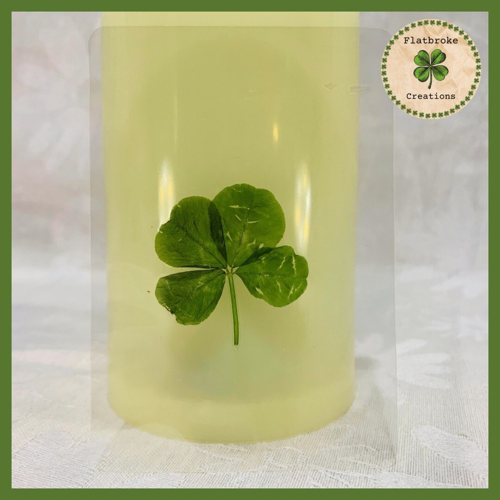 🍀Real Laminated Four Leaf Clover🍀 Shamrock
