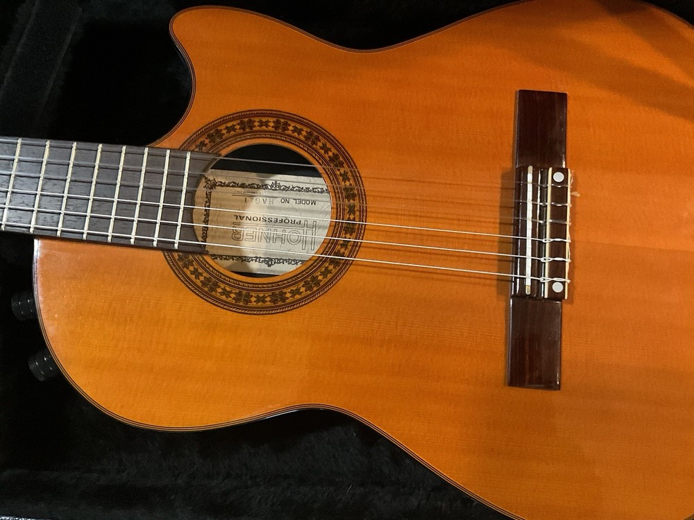 Hohner HAG 21 professional level thin solid body classical-electric guitar /case