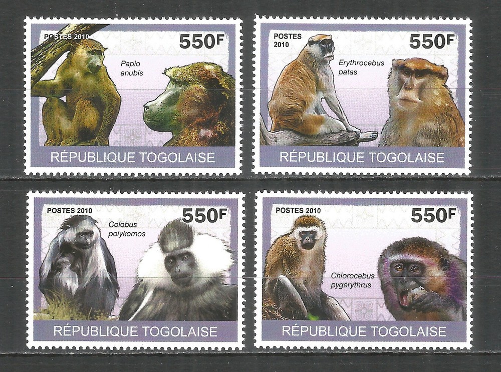 Togo 2010 year, mint MNH (**)  monkey