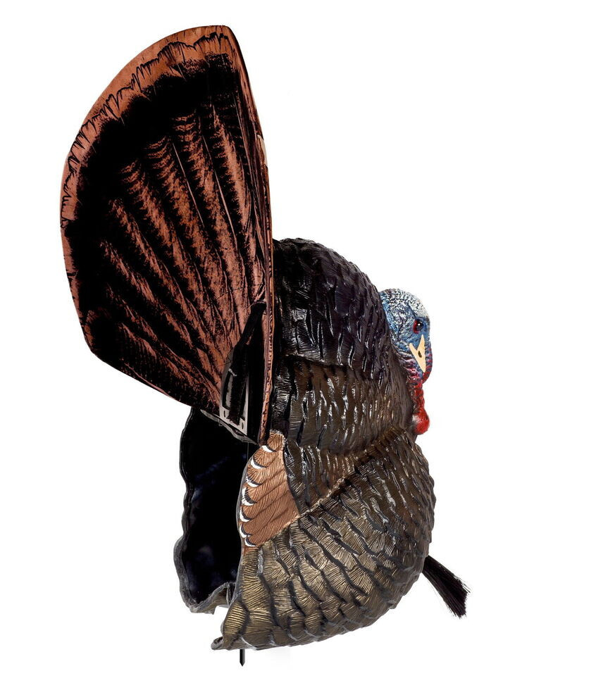 Flextone Thunder Creeper Hunting realistic Turkey Decoy (Strutter) - FLXDY316