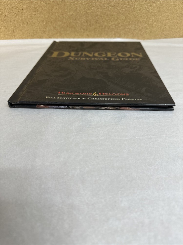 Dungeon Survival Guide D20 Dungeons & Dragons