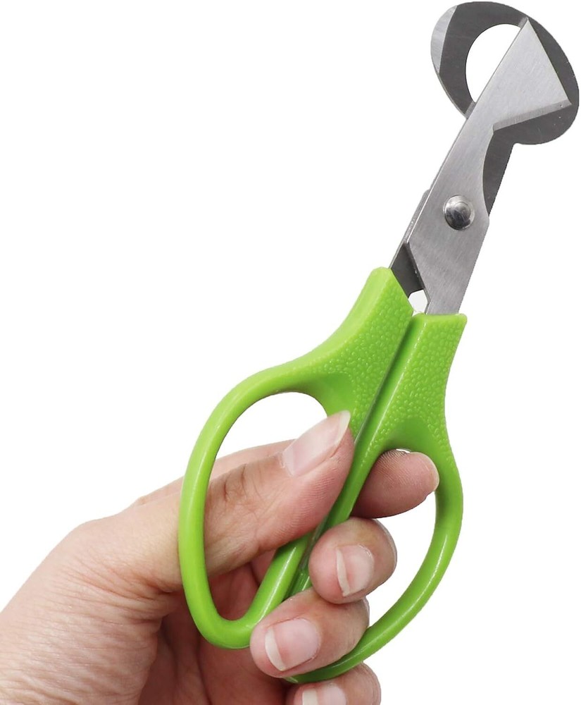 Quail Roast egg scissors eggshell scissors eggshell opening divider scissors Lot