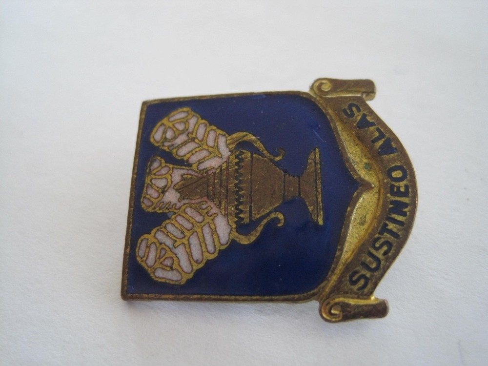 Military Pin Back Sustineo Alas Vintage