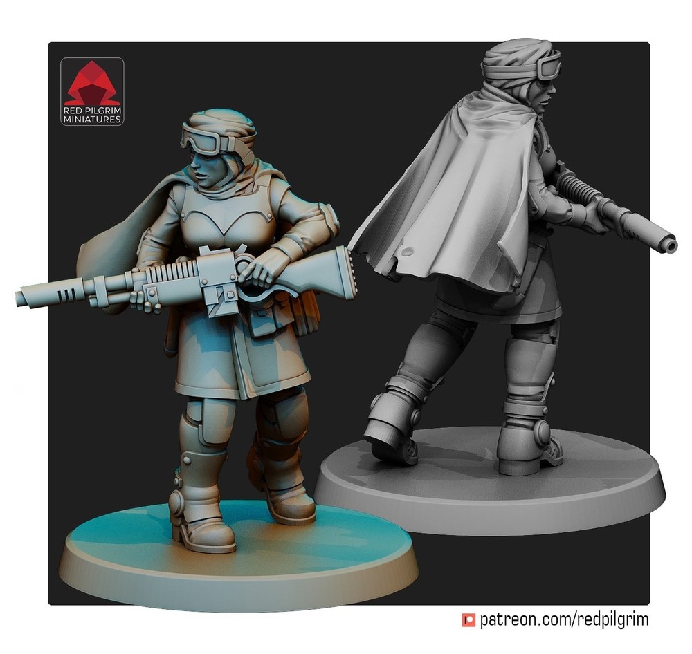 DESERT HAWKS WIDOWS