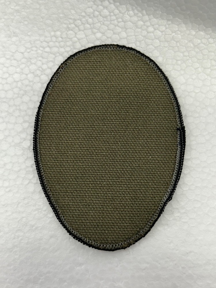 US Navy Security NAS Oceana Patch