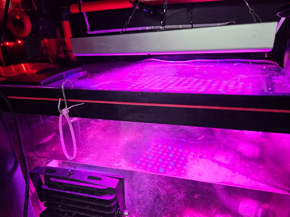 FEDEX 2 DAY Shipping Replacement Charge $12