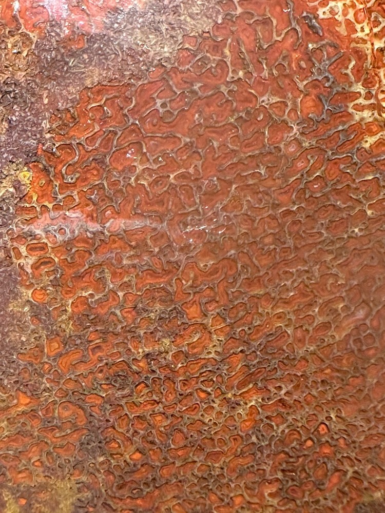 Dinosaur gem bone rough **hxtled large slab.