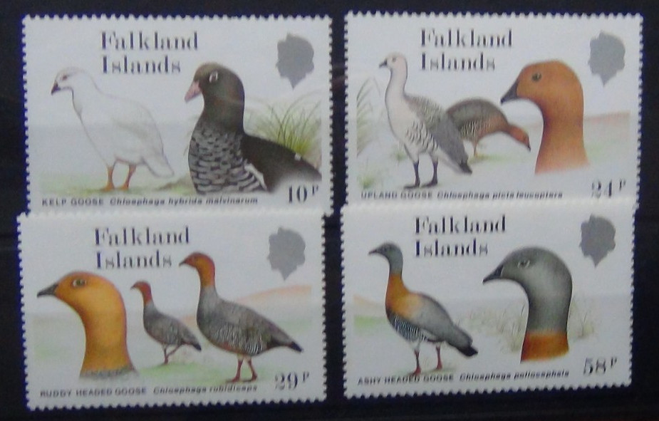 Falkland 1988 Geese set MNH